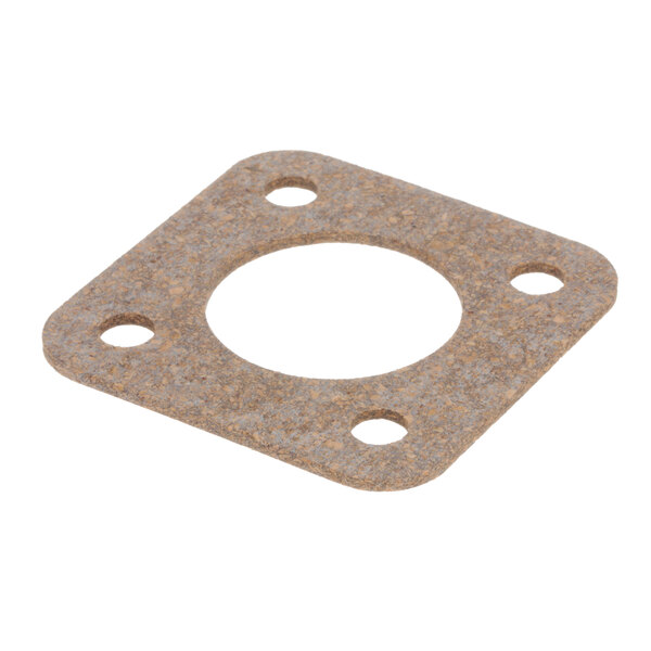 A white circular gasket with holes.