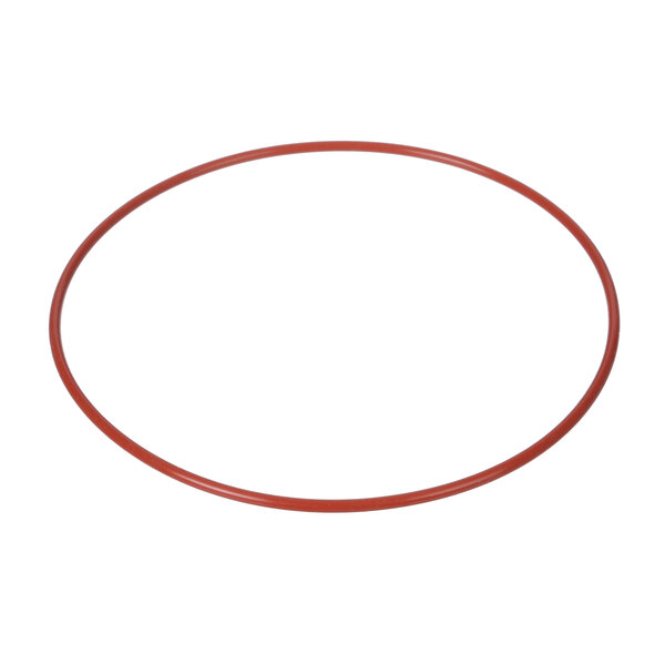 A red rubber O-ring.