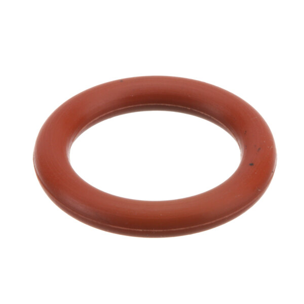 A close-up of an orange rubber o-ring.