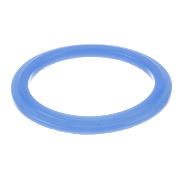 A blue round rubber O-ring.