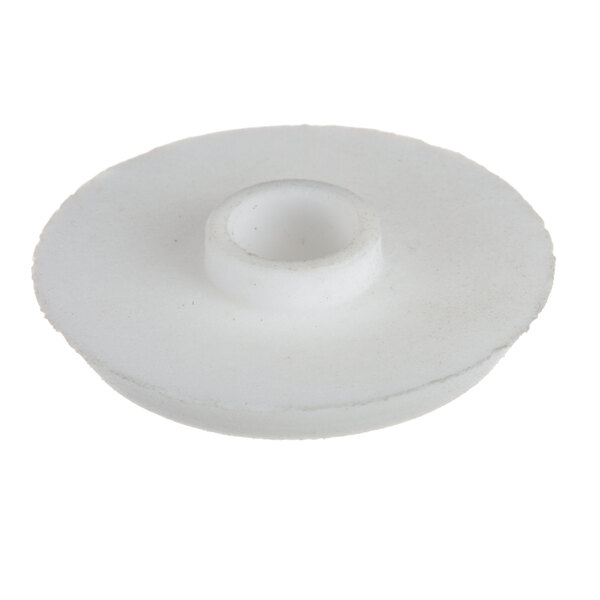 A white plastic disc with a hole.