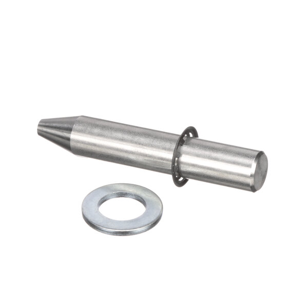 A stainless steel screw and washer with a metal ring around it.