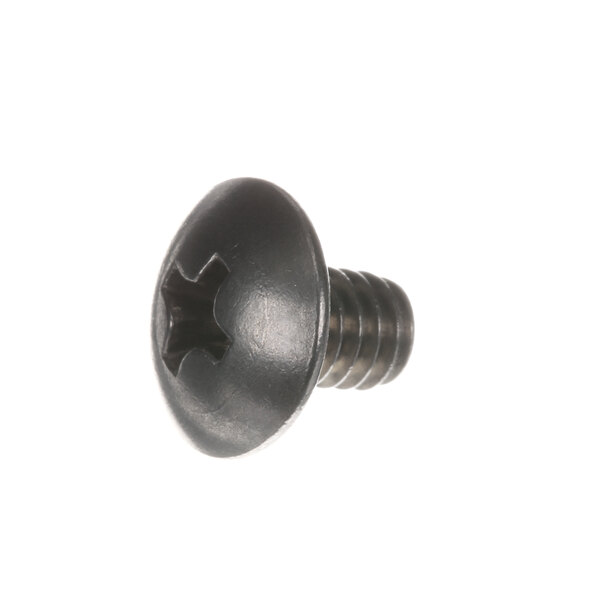 A close-up of a black Hobart SC-066-13 screw with a cross.
