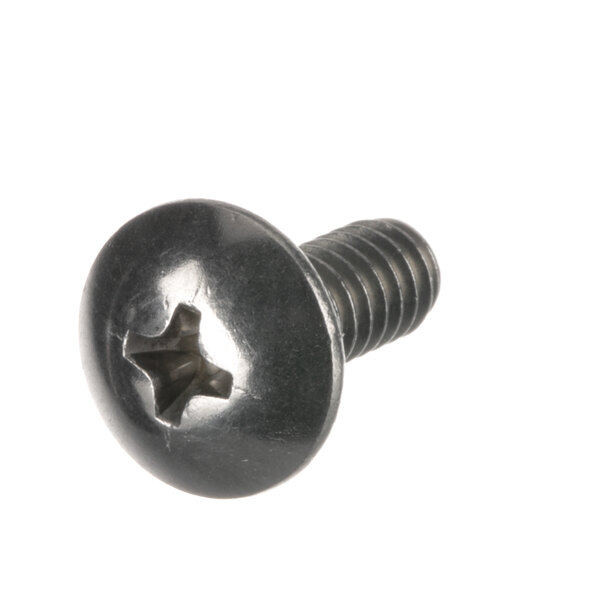 A close-up of a Viking Commercial 10-24 SS machine screw.