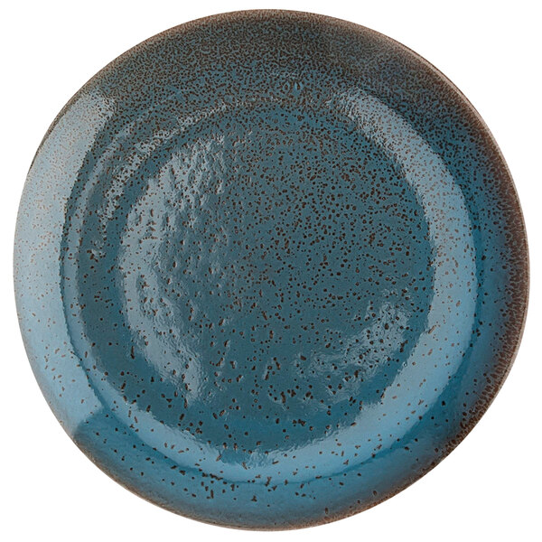 A white porcelain plate with blue specks.