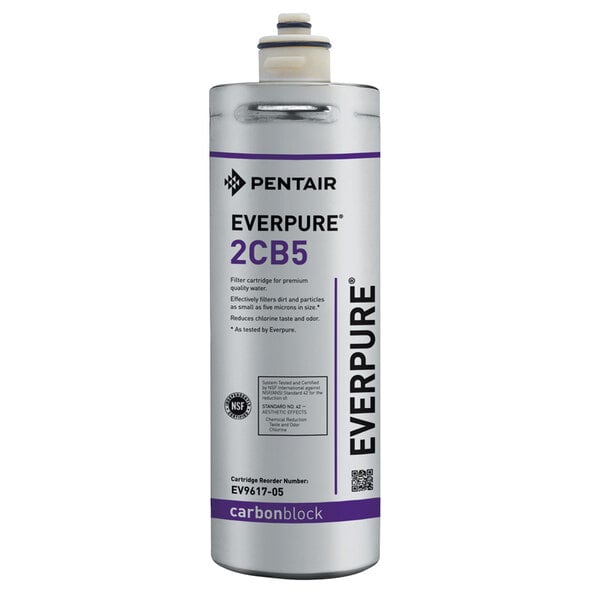 An Everpure 2CB5 replacement filter cartridge with a silver body and white cap.