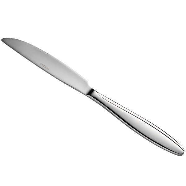 A close-up of a Oneida Glissade stainless steel dinner knife with a silver handle.