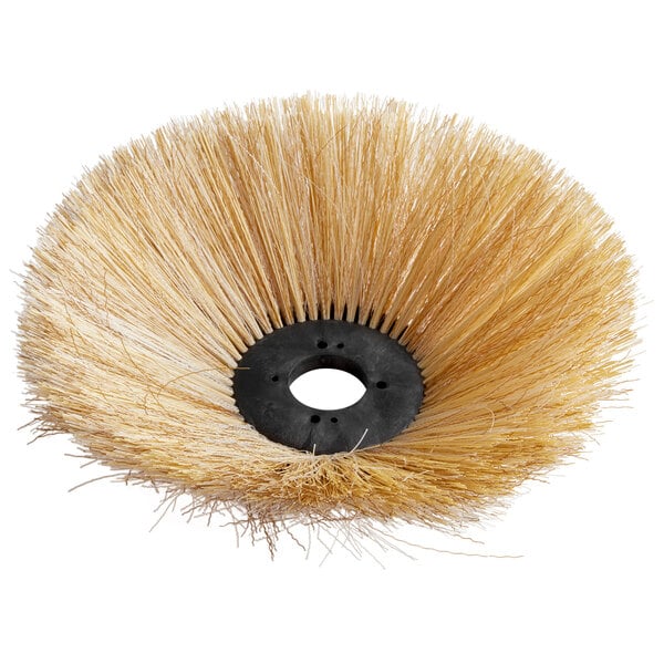 A circular brush with long thin sticks on the edge.