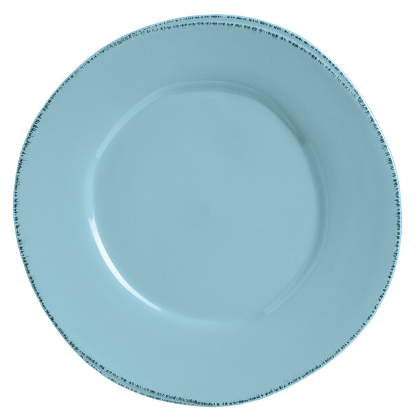 A light blue porcelain plate with a white rim.