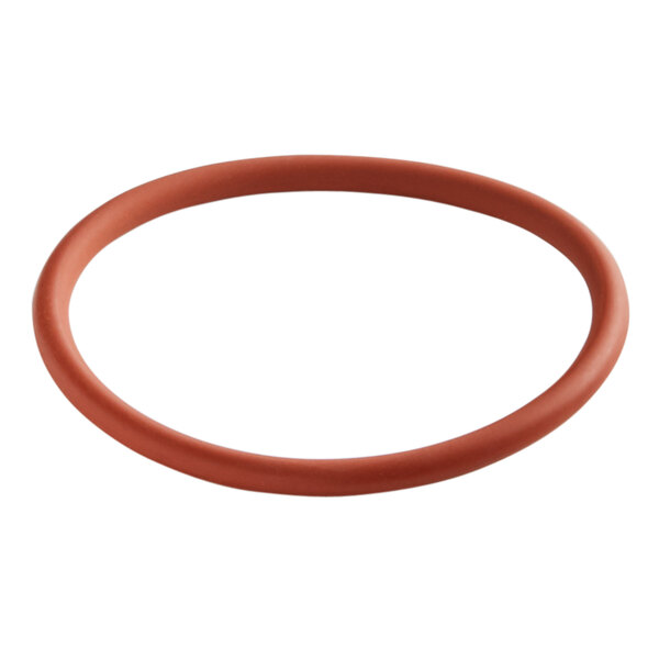 A red rubber Narvon evaporator cover O-ring.
