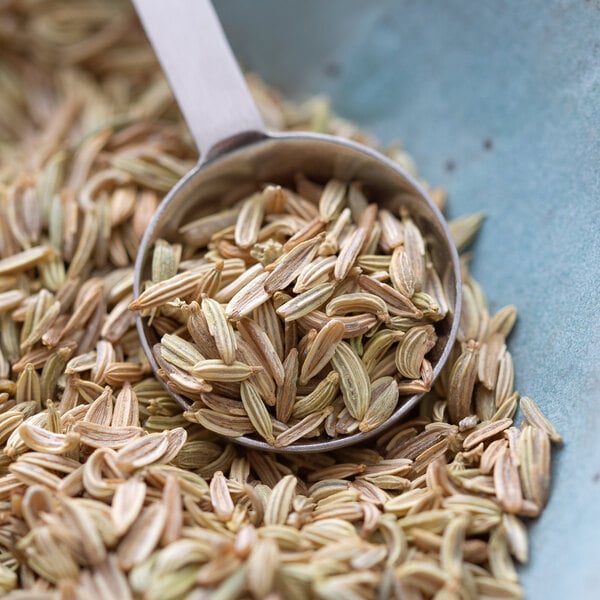 A spoon full of Regal fennel seeds in a bowl.