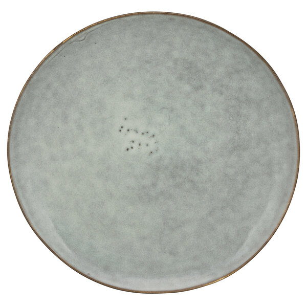 A white porcelain salad plate with a blue rim and brown dots.