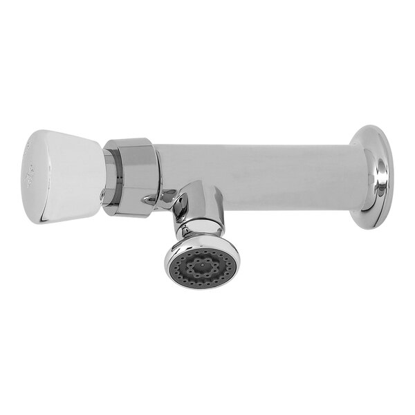A close-up of a chrome T&S metering faucet with a white background.