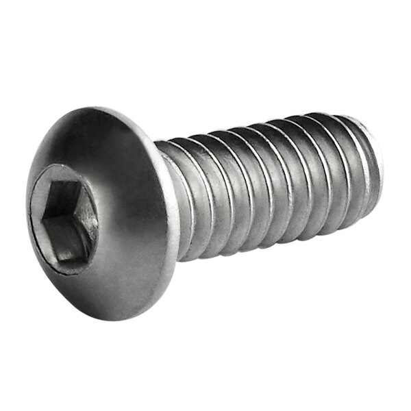 A close-up of a stainless steel Sunkist Button Head Screw.