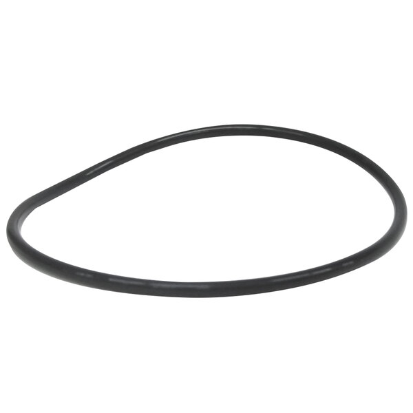 A black rubber Everpure O-ring.