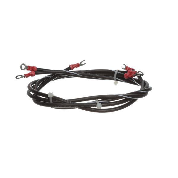 A black cable with red and black electrical wires and a red plug.