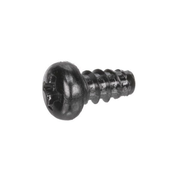 A close-up of a black Rinnai screw with a round head.