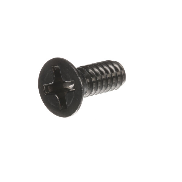 A close-up of a Hussmann stainless steel screw with a cross on it.