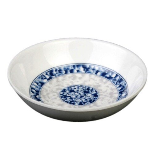 A white bowl with a blue dragon design on it.