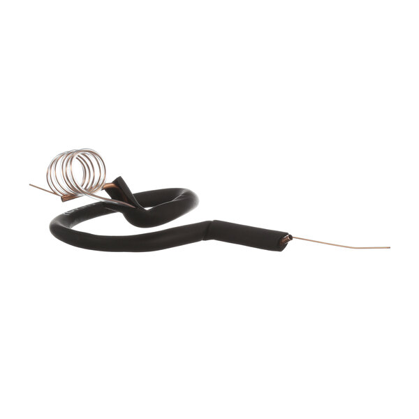 A black wire with a coil on a white background.