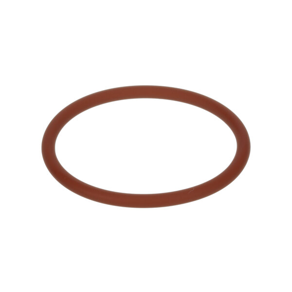 A brown rubber o ring.