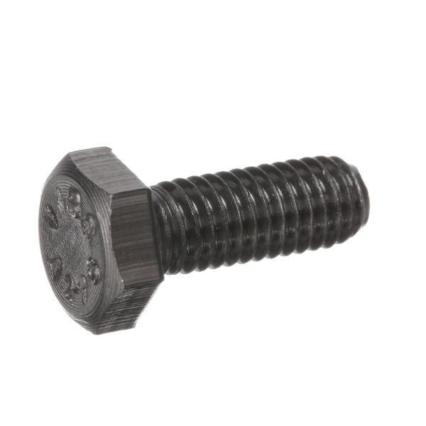 A Berkel stainless steel M6X16 screw with a black head and nut.