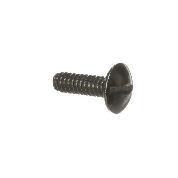 A close-up of a Hobart SC-053-06 screw on a white background.