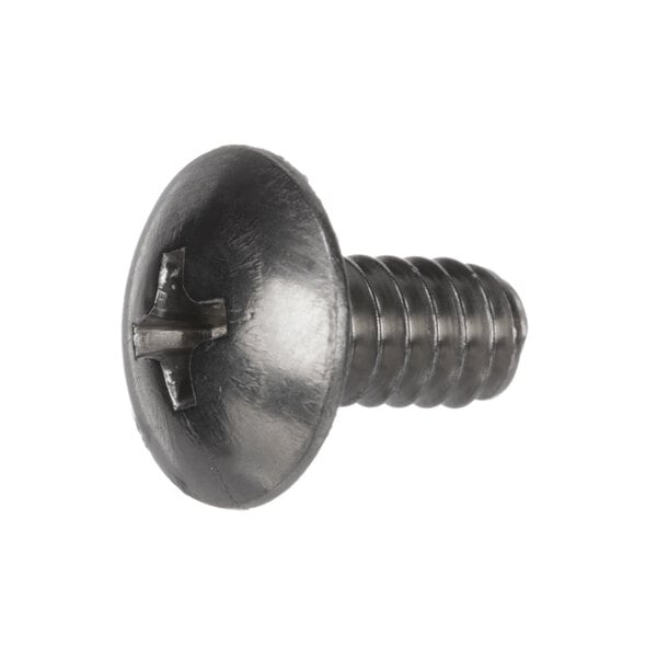 A close-up of a XLT XF 123 123 Small Screw with a black head.