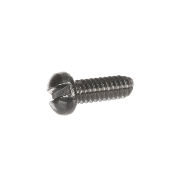 A close-up of a Berkel stainless screw.