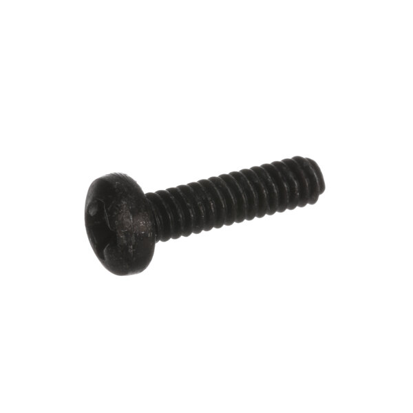 A close-up of a black screw with a round head.