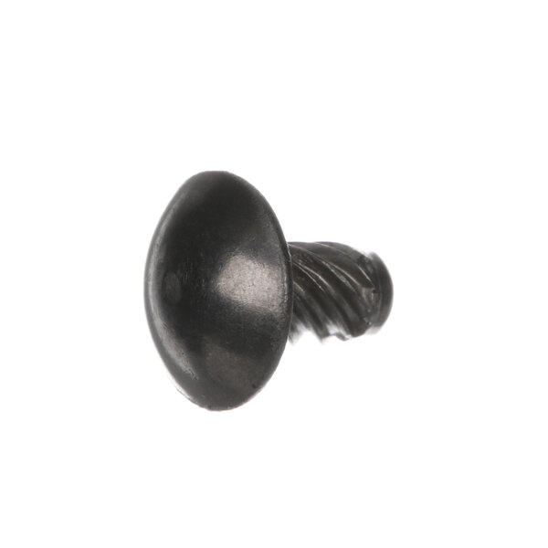 A close-up of a black Hobart screw with a truss head.