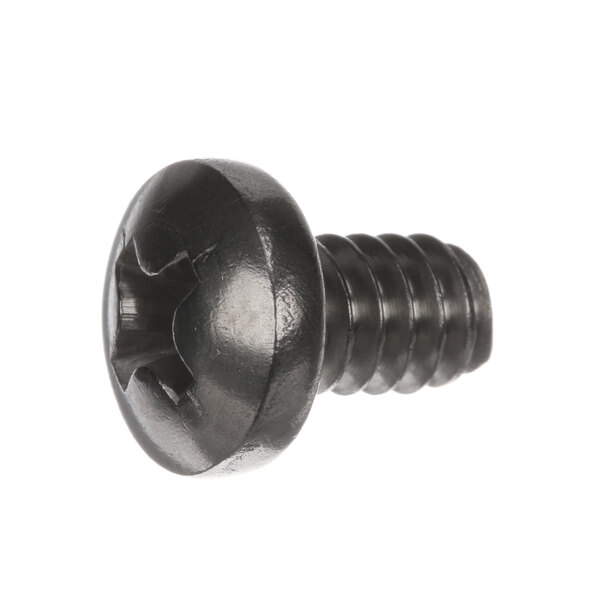 A close-up of a black Hobart screw with a star on it.