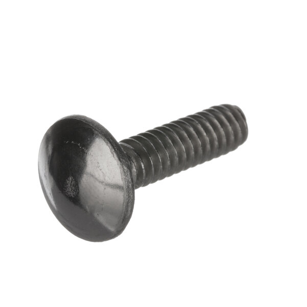 A close-up of a black screw with a round head on a white background.