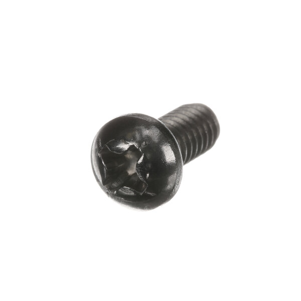 A close-up of a black Hobart screw with a star head.