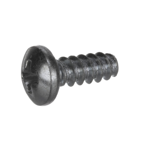 A close-up of a black Hobart drive screw with a round head.