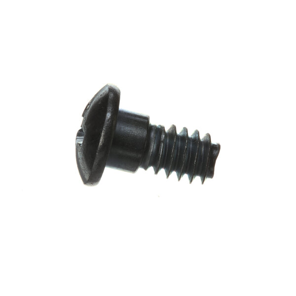 A close-up of a black Hobart pivot screw with a round head.