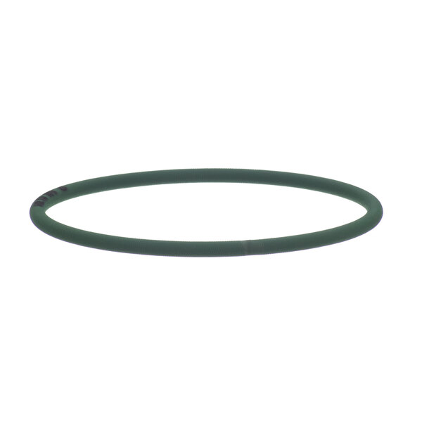 A green rubber belt for a Carpigiani soft serve machine.