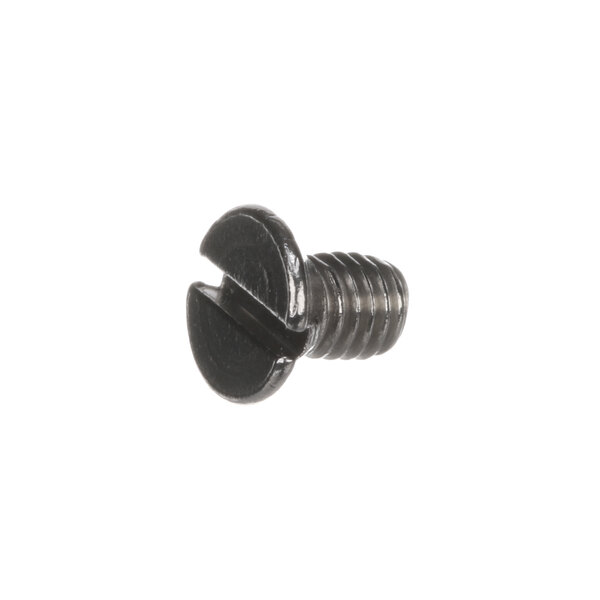 A close-up of a Hobart M3X5 stainless steel screw.