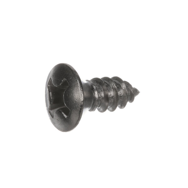 A close-up of a black Hobart SD-037-42 screw with a star.
