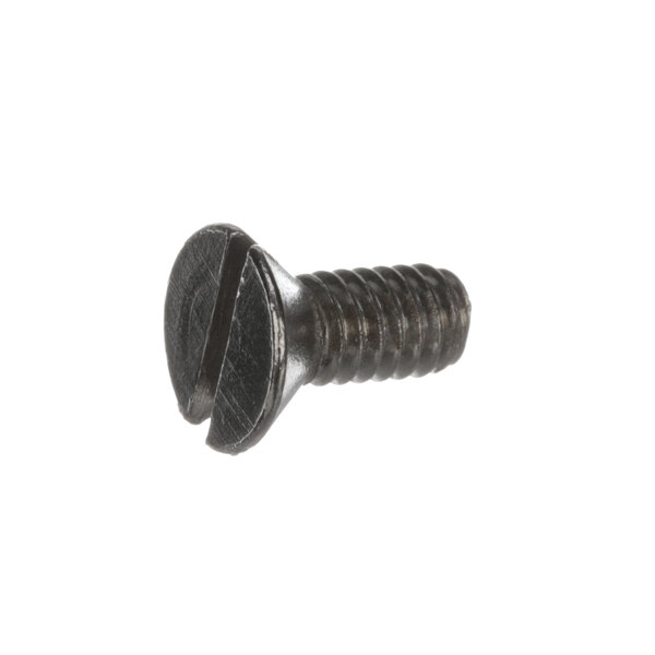 A close-up of a Waring 2986 screw.