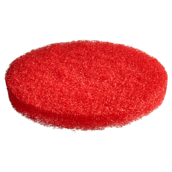 A MotorScrubber red polishing pad.