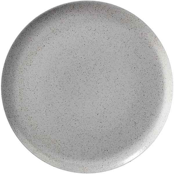A white porcelain plate with speckled specks.