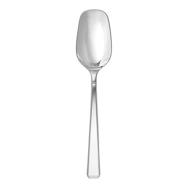 A Fortessa stainless steel serving spoon with a silver handle.