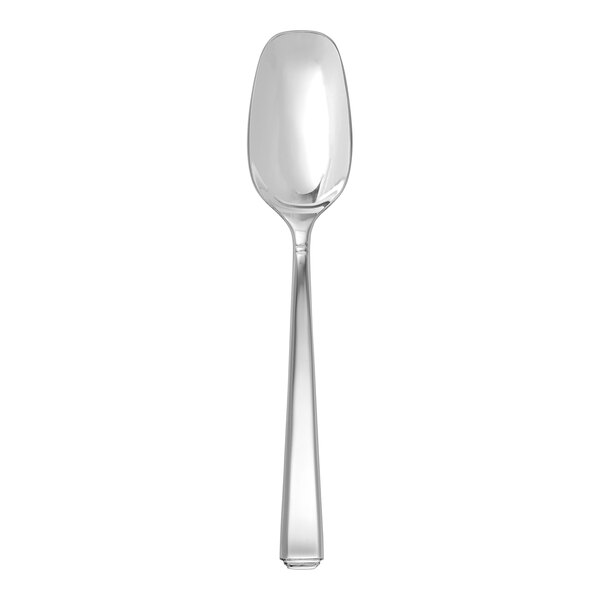 A close-up of a Fortessa stainless steel coffee spoon with a silver handle.