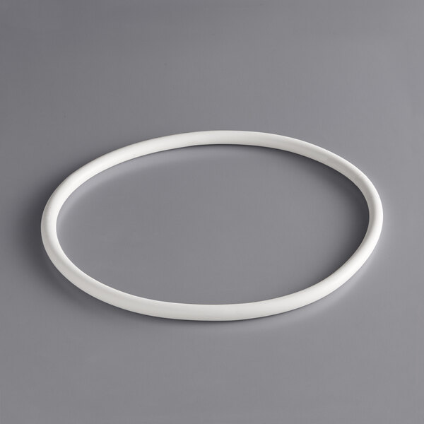 A white rubber O-ring with a white circle.