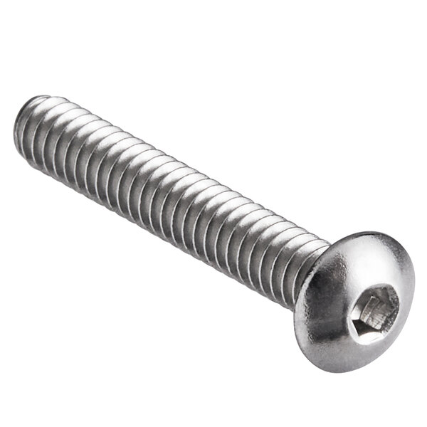 A close-up of a Sunkist stainless steel screw with a stainless steel head.