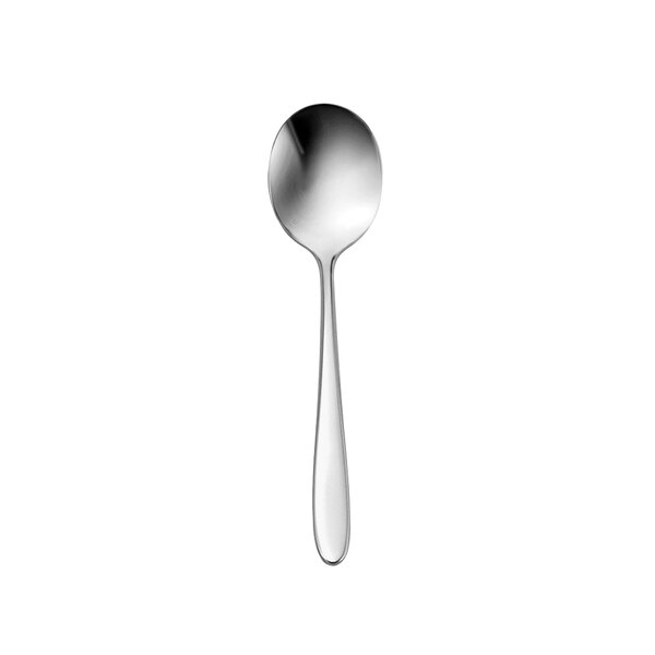 A close-up of a Oneida Mascagni stainless steel spoon with a silver handle.