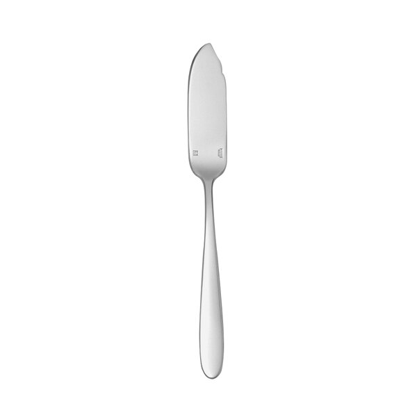 A silver stainless steel fish knife with a black border on a white background.