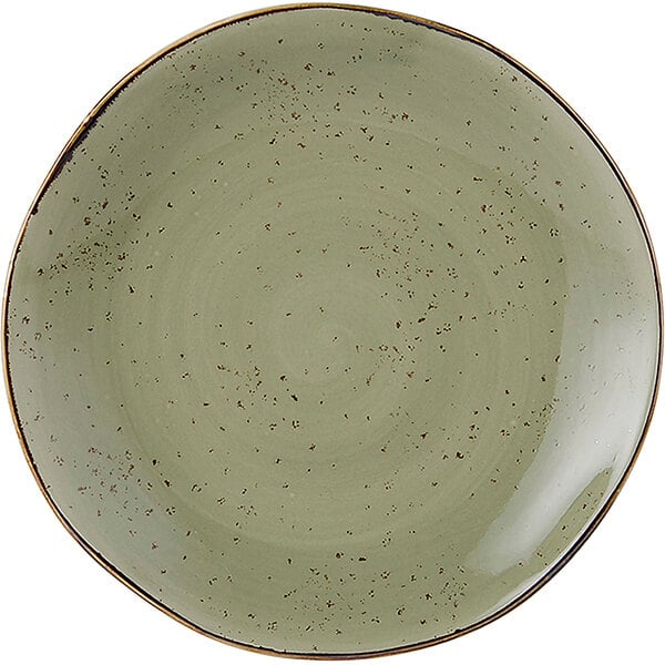 A Tuxton TuxTrendz china plate with a green speckled pattern.