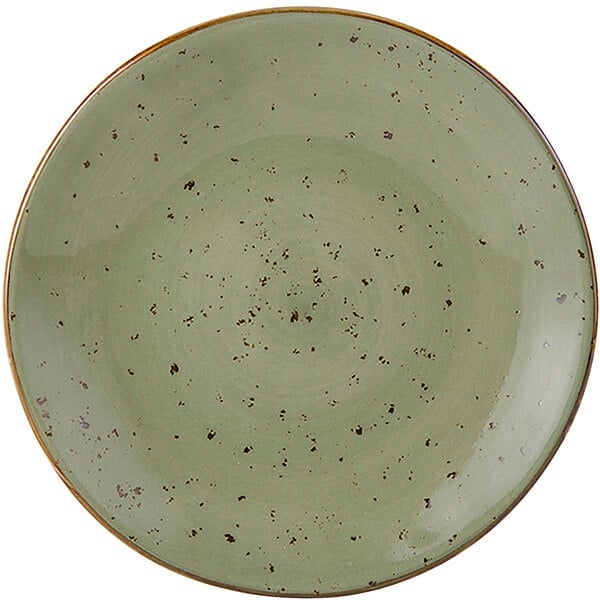 A Tuxton TuxTrendz olive china plate with a speckled geode pattern in brown and green.
